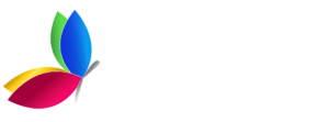 vmnyconstruction.com